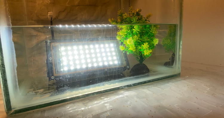 (خطر)مشتری گرامی از قرار دادن پرژکتور داخل آب خوداری کنید .